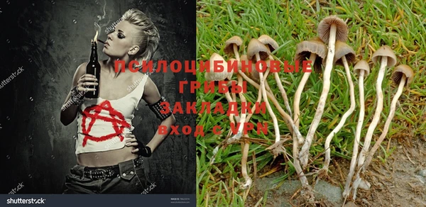 MDMA Premium VHQ Аркадак